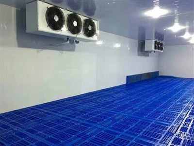 2025年 中国の冷蔵室工場トップ10
