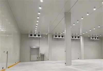低温室に適した空気濾過システムは何ですか?